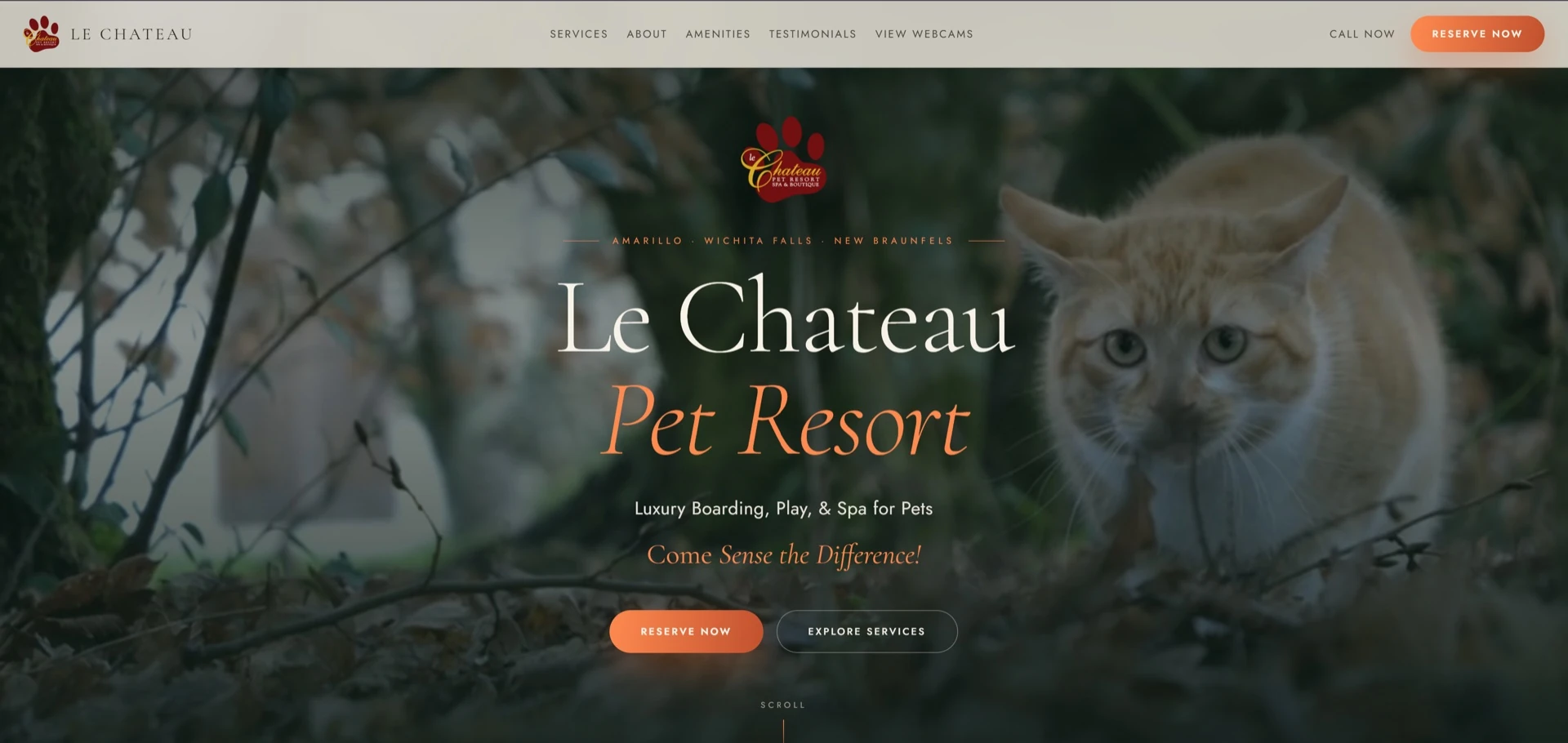 Le Chateau Pet Resort case study preview